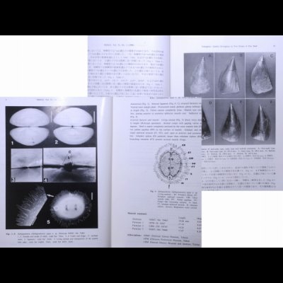 ビーナス第55巻第1号 The Venus V55 N1fig.3