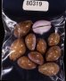 アヤメダカラ Erosaria porariafig.1