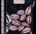 アヤメダカラ Erosaria porariafig.2