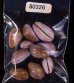 アヤメダカラ Erosaria porariafig.1
