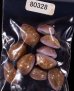 アヤメダカラ Erosaria porariafig.1