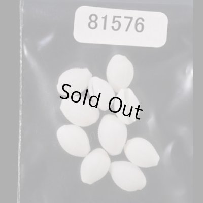 画像1: シラタマガイ