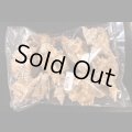 ニセバライロバショウ SALE！