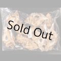ニセバライロバショウ SALE！