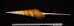 ハシナガソデガイ 大 Tibia fususfig.2