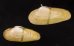 チュウハナグモリ Glauconome  rugosafig.1