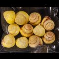 タマゴタニシマイマイ