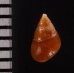 グージェアカチャツボ (仮称) Barleeia gougetifig.2