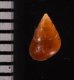 グージェアカチャツボ (仮称) Barleeia gougetifig.2