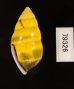 ソコミドリマレーマイマイ Amphidromus perversus butoti infraviridisfig.3