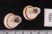 ハナシカドマルセンベイマイマイ (仮称) Obba bigonia aff.fig.2