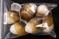 チャスジアオタニシマイマイ