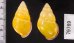 ハナヤカクチベニマレーマイマイ (仮称) Amphidromus placidusfig.2