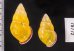 アリスマレーマイマイ (仮称) Amphidromus alicetandiasaefig.2