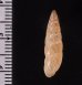 ナガイトカケクチトジギセル (仮称) Clessinia neglectafig.2