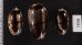 クロフクレマクラ (仮称) Oliva tigrina glandiformisfig.2