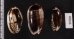 クロフクレマクラ (仮称) Oliva tigrina glandiformisfig.2