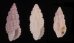 フジイロコウシツブ 藤色格子小螺 Pseudodaphnella martensifig.1