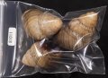 イロイロゴシキマイマイ (仮称)