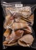 ジャワ島の貝殻セット fig.1
