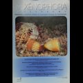 Xenophora Taxonomy 2 ゼノホラ・タクソノミー 2