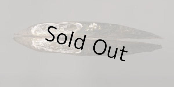 画像3: レメスイシガイ (仮称) (3)