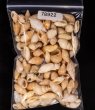 アルゴア湾沖貝殻セット fig.1