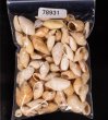 アルゴア湾沖貝殻セット fig.1