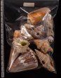 ジャワ島の貝殻セット fig.2