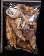 ジャワ島の貝殻セット fig.2