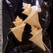 チマキボラ 特価 Thatcheria mirabilisfig.2